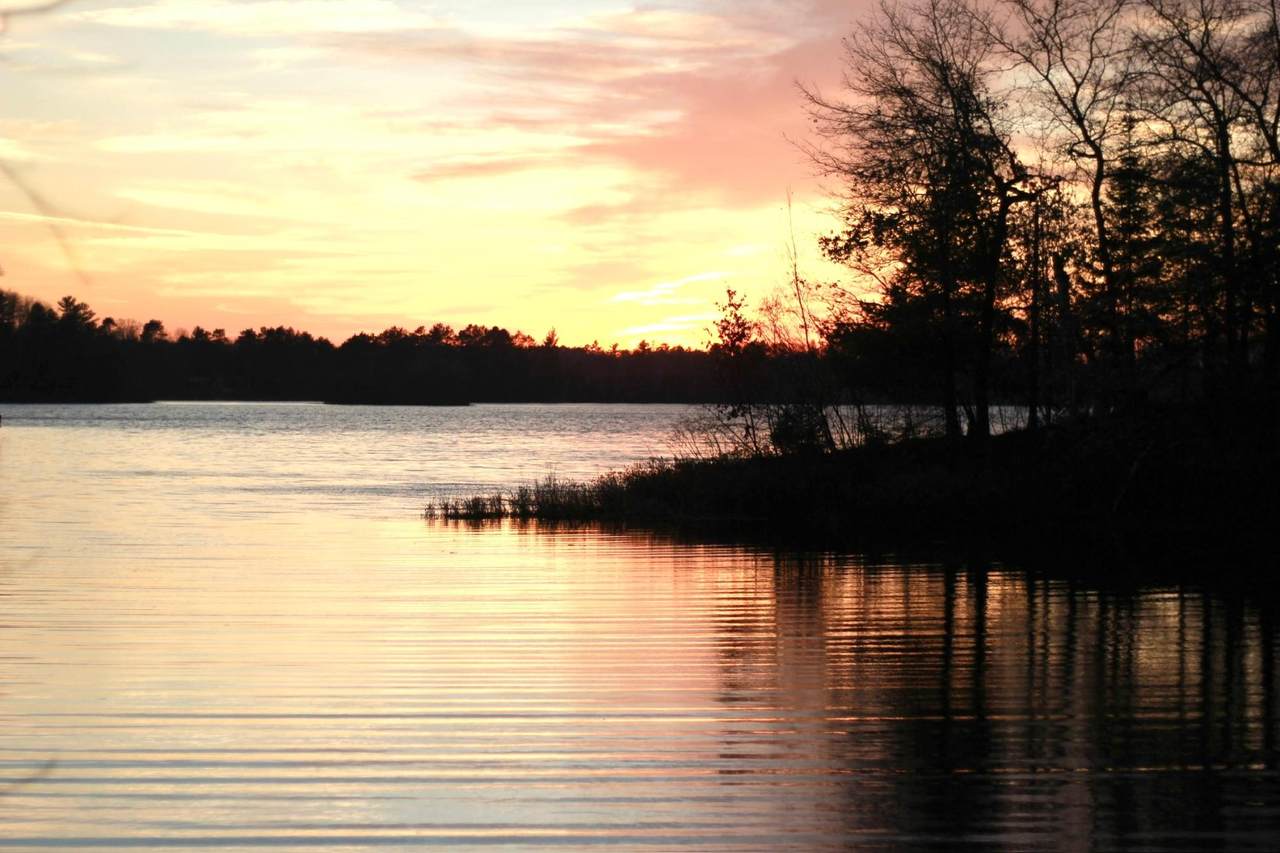 9474 Spillman Ln - Photo 1