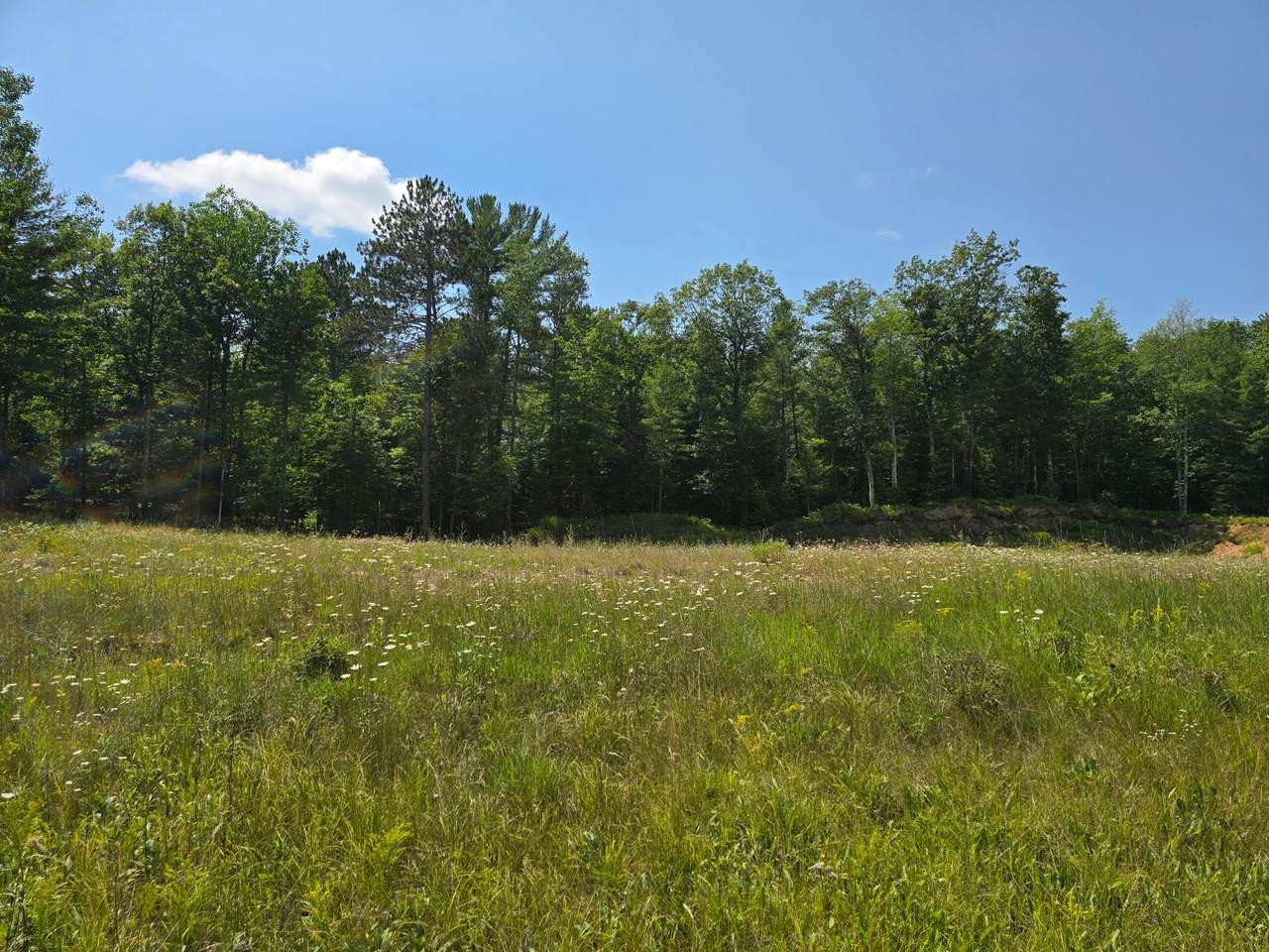 https://bt-photos.global.ssl.fastly.net/northwoods/1280_boomver_2_213097-2.jpg