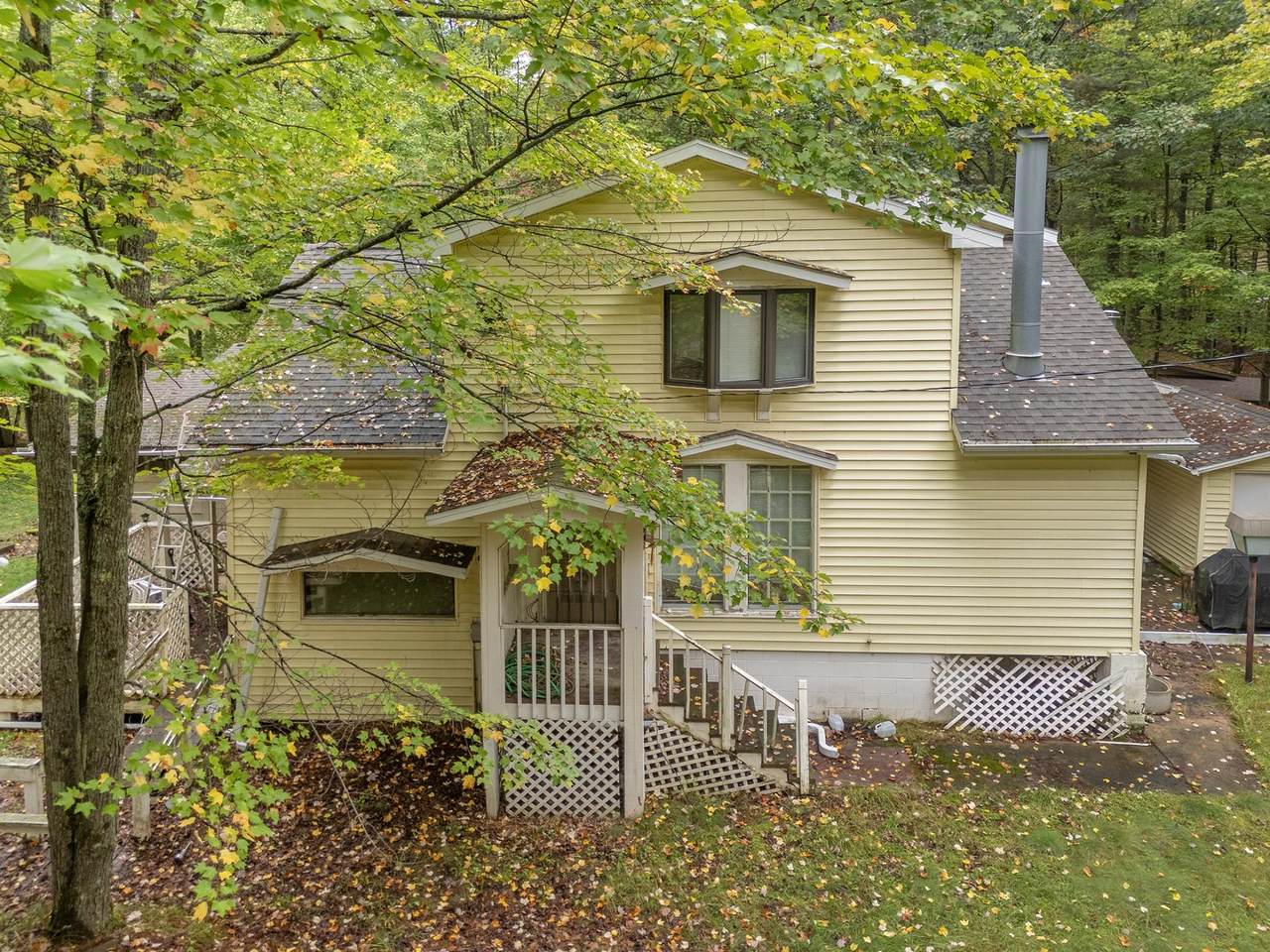 10026 Pine Tree Dr - Photo 1