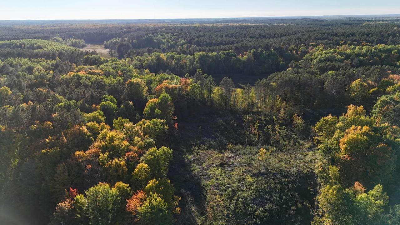 ON S Newman Lake Rd - Photo 1