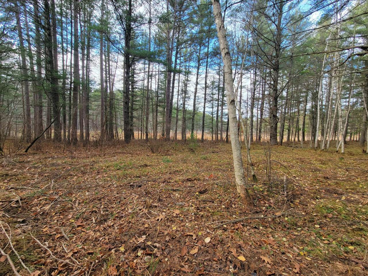 LOT 10 Charles Ct - Photo 1
