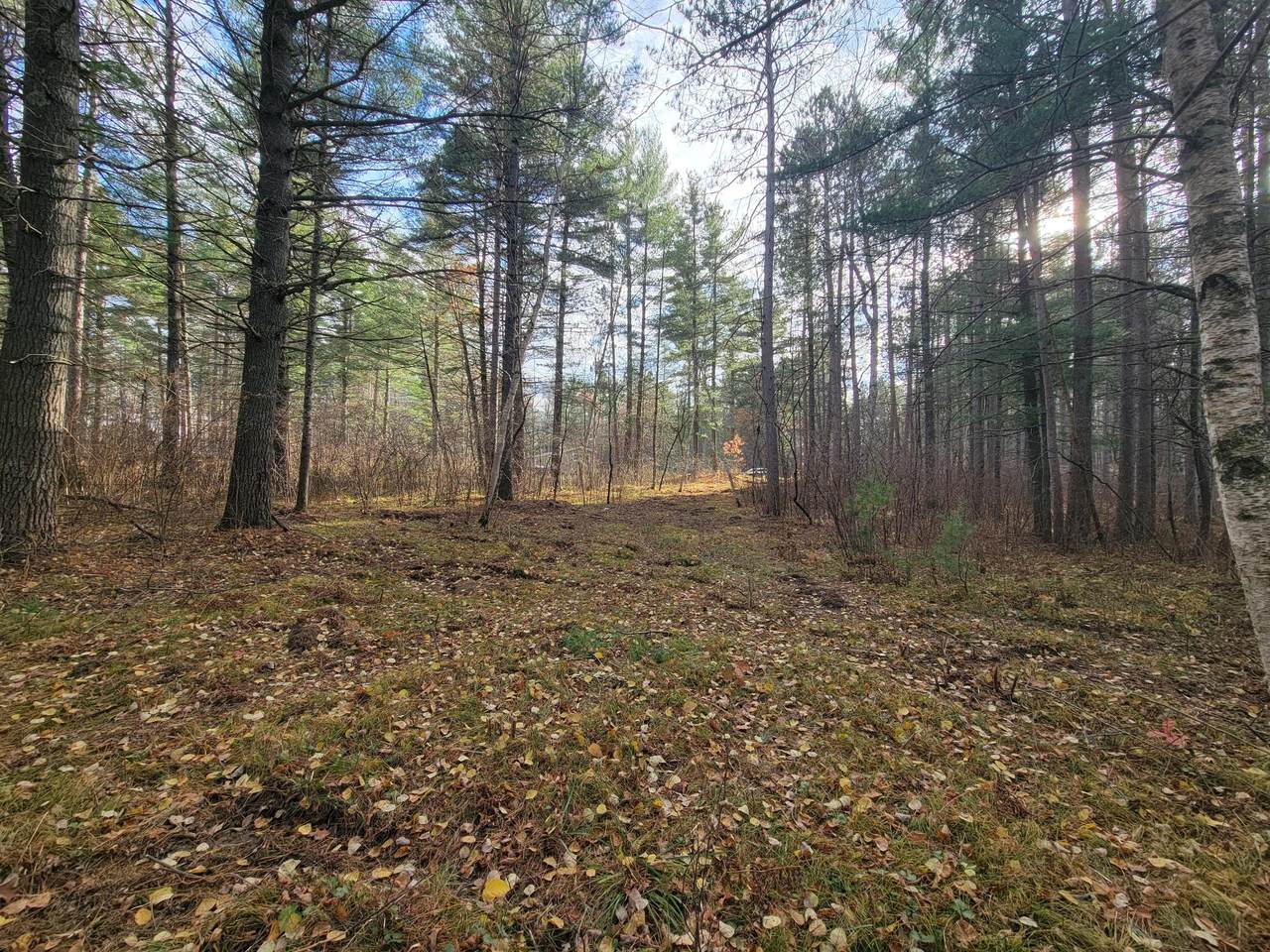 https://bt-photos.global.ssl.fastly.net/northwoods/1280_boomver_2_214557-2.jpg