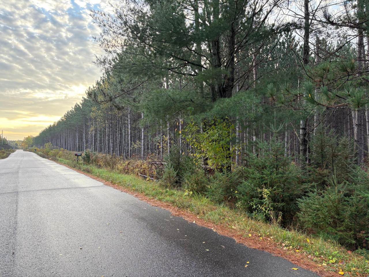 Lot 1 Plantation Rd - Photo 1