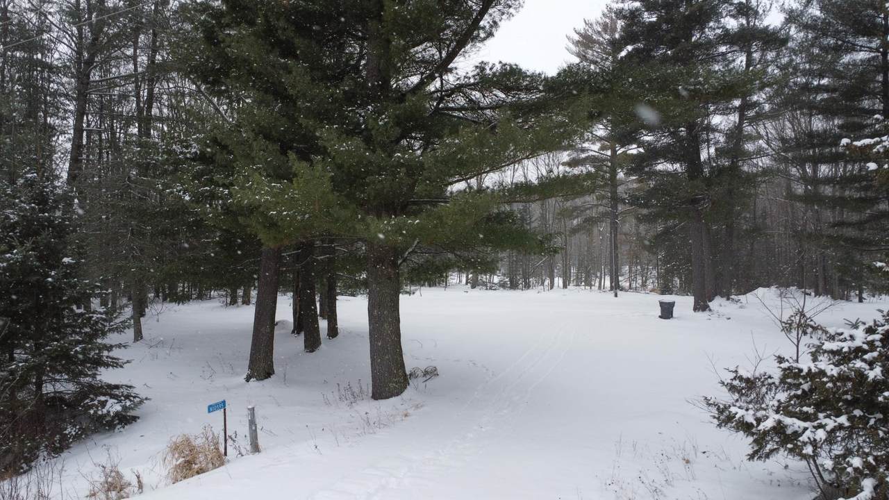 N10595 Hwy 45 - Photo 1