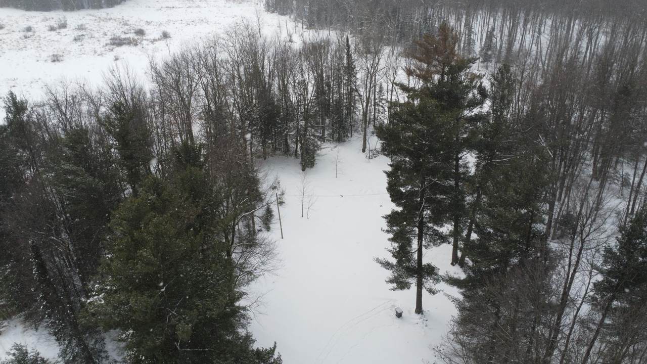 https://bt-photos.global.ssl.fastly.net/northwoods/1280_boomver_2_215165-2.jpg
