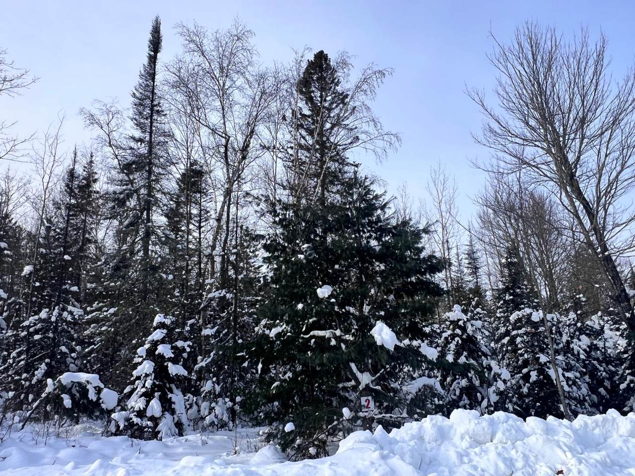 Lot 2 Butternut Cir - Photo 1