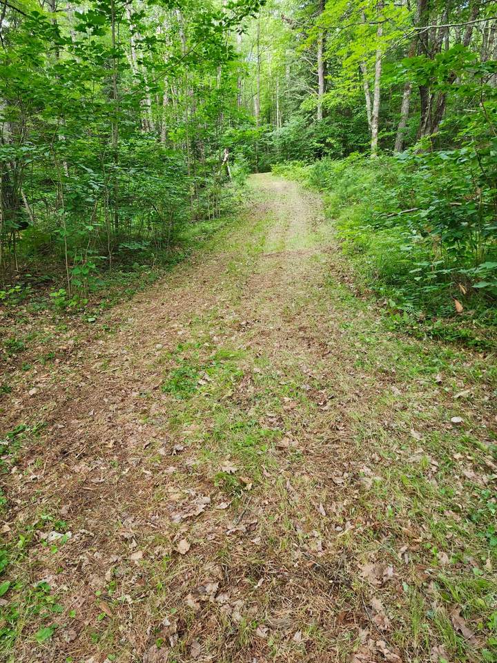 https://bt-photos.global.ssl.fastly.net/northwoods/1280_boomver_2_215579-2.jpg