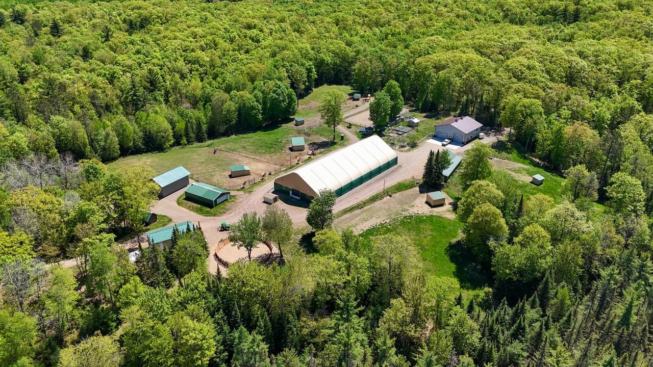 8177 Plum Lake Station Rd - Photo 1