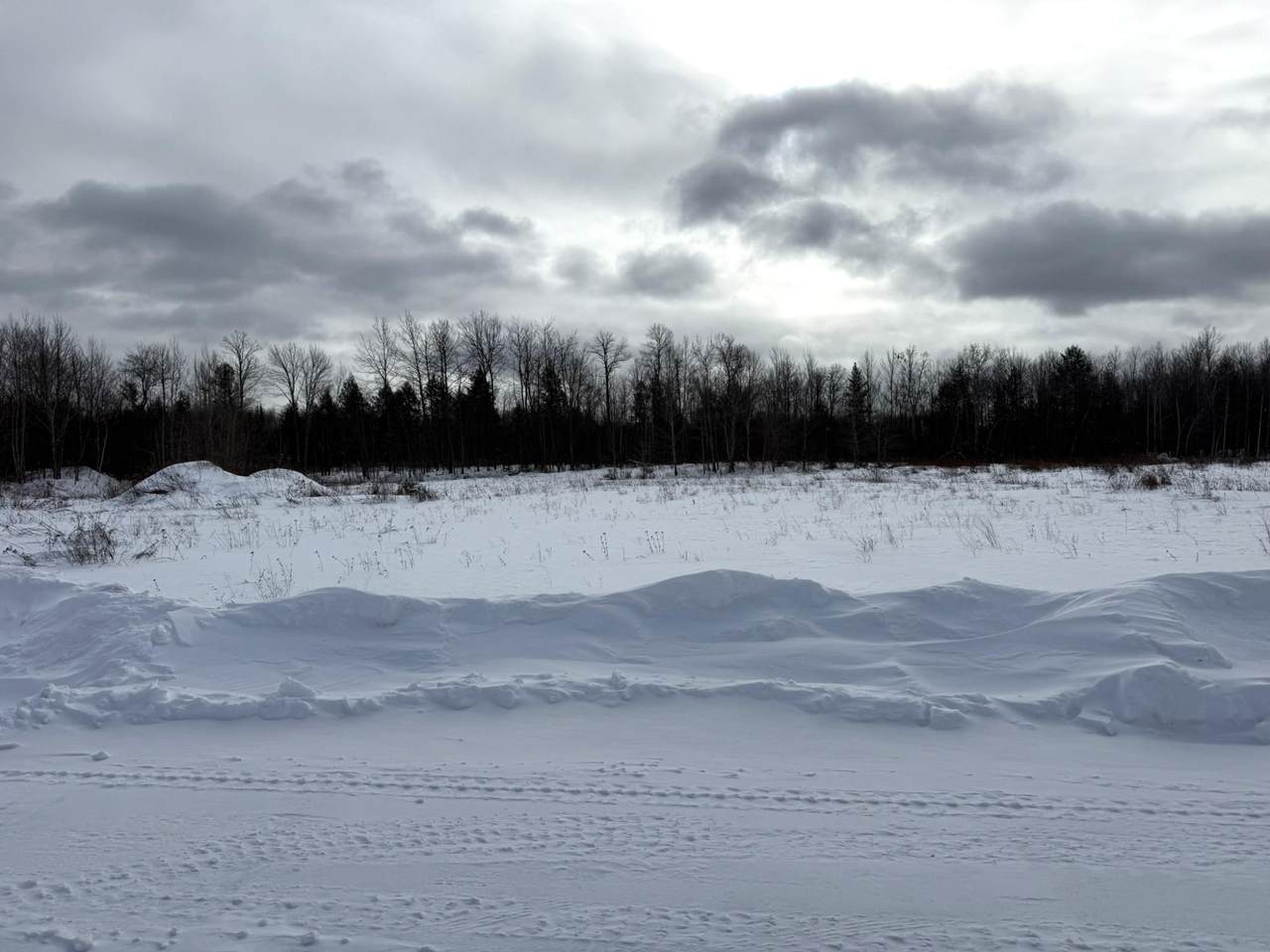 ON Taylor Dr - Photo 1