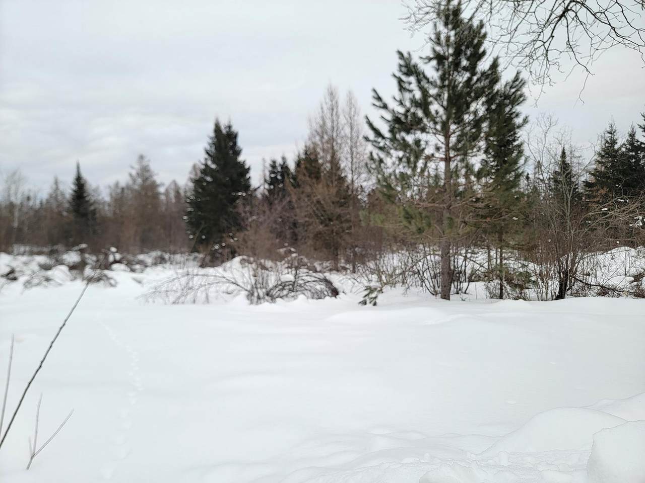 https://bt-photos.global.ssl.fastly.net/northwoods/1280_boomver_2_215738-2.jpg