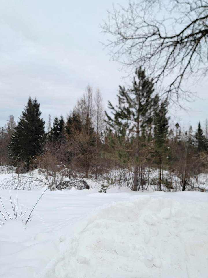 https://bt-photos.global.ssl.fastly.net/northwoods/1280_boomver_2_215738-2.jpg
