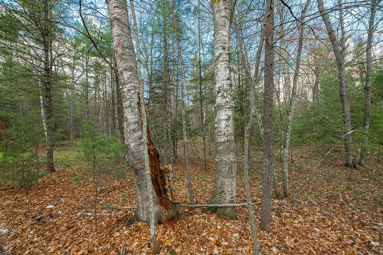 https://bt-photos.global.ssl.fastly.net/northwoods/orig_boomver_1_215829-2.jpg