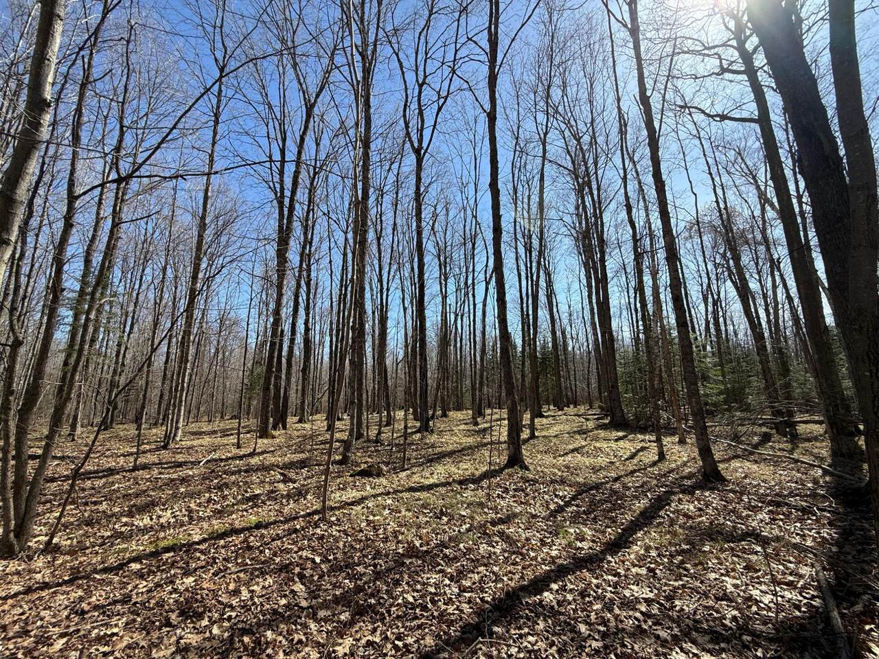 https://bt-photos.global.ssl.fastly.net/northwoods/orig_boomver_2_215859-2.jpg