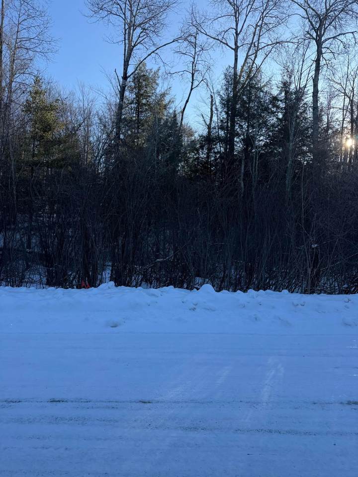 ON Lake John Rd - Photo 1