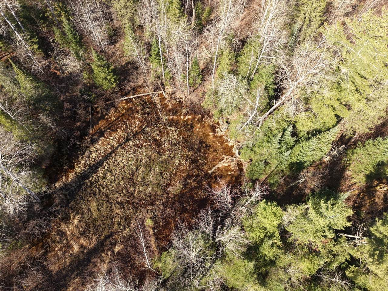 https://bt-photos.global.ssl.fastly.net/northwoods/1280_boomver_2_215926-2.jpg