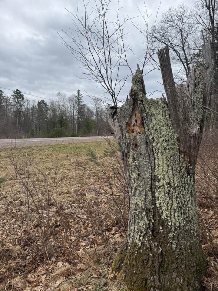 1.91 AC Hwy 70 - Photo 1