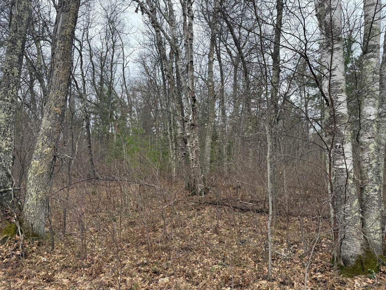 https://bt-photos.global.ssl.fastly.net/northwoods/1280_boomver_1_215947-2.jpg