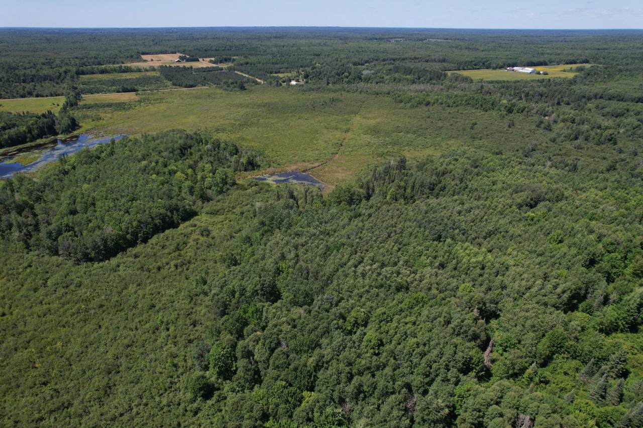 https://bt-photos.global.ssl.fastly.net/northwoods/1280_boomver_2_216028-2.jpg