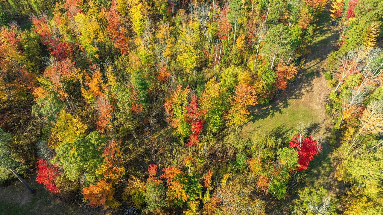 https://bt-photos.global.ssl.fastly.net/northwoods/1280_boomver_2_216318-2.jpg