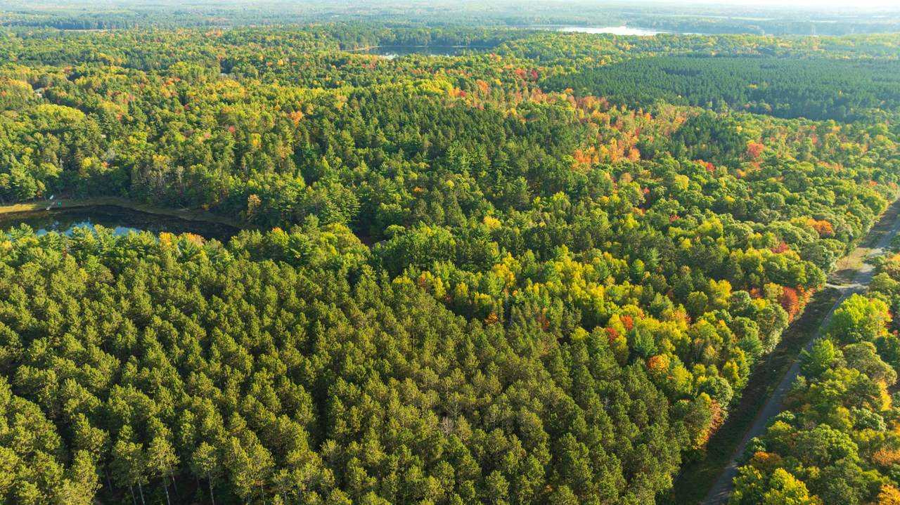 https://bt-photos.global.ssl.fastly.net/northwoods/1280_boomver_2_216345-2.jpg