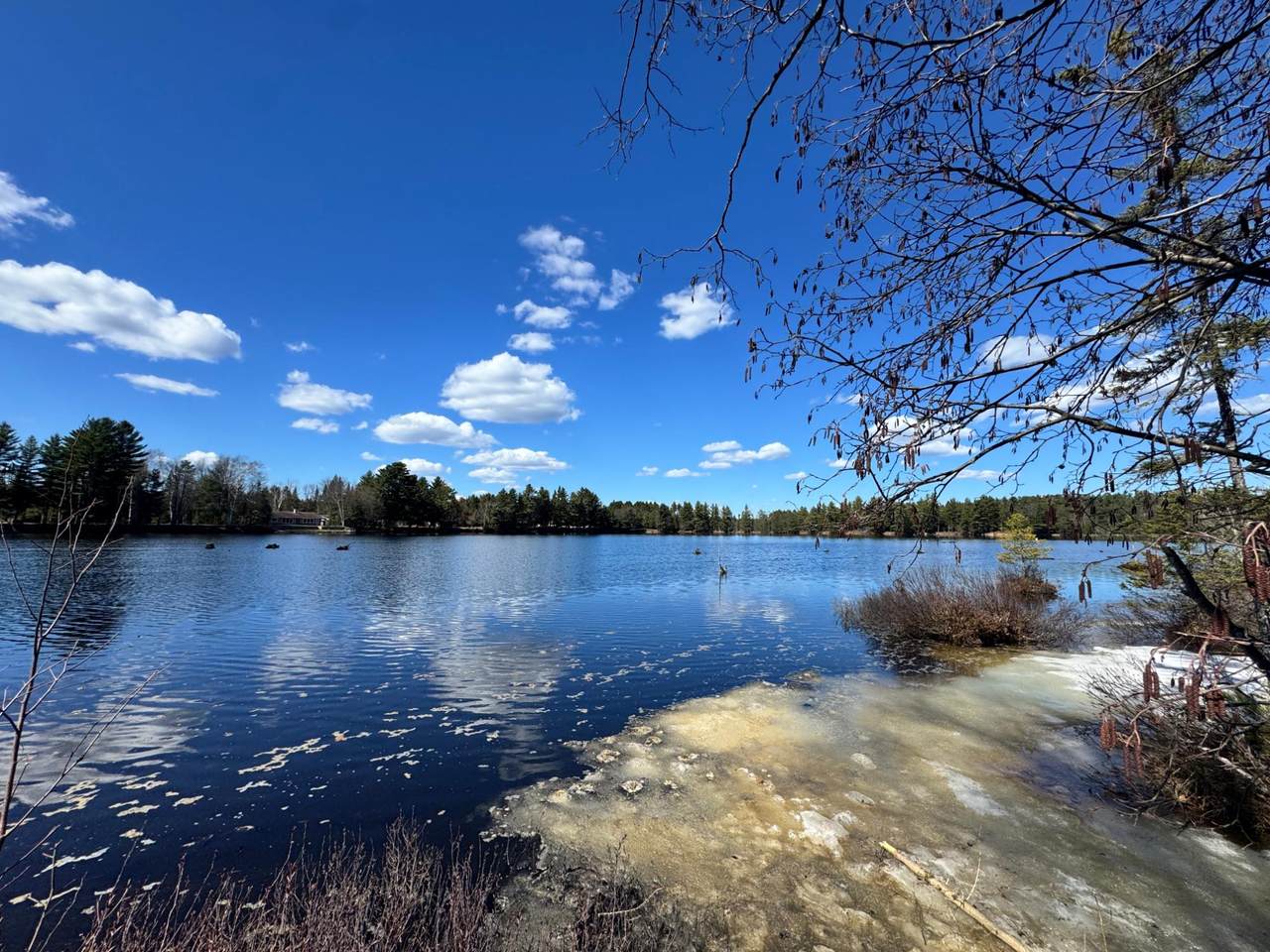 https://bt-photos.global.ssl.fastly.net/northwoods/1280_boomver_2_216411-2.jpg