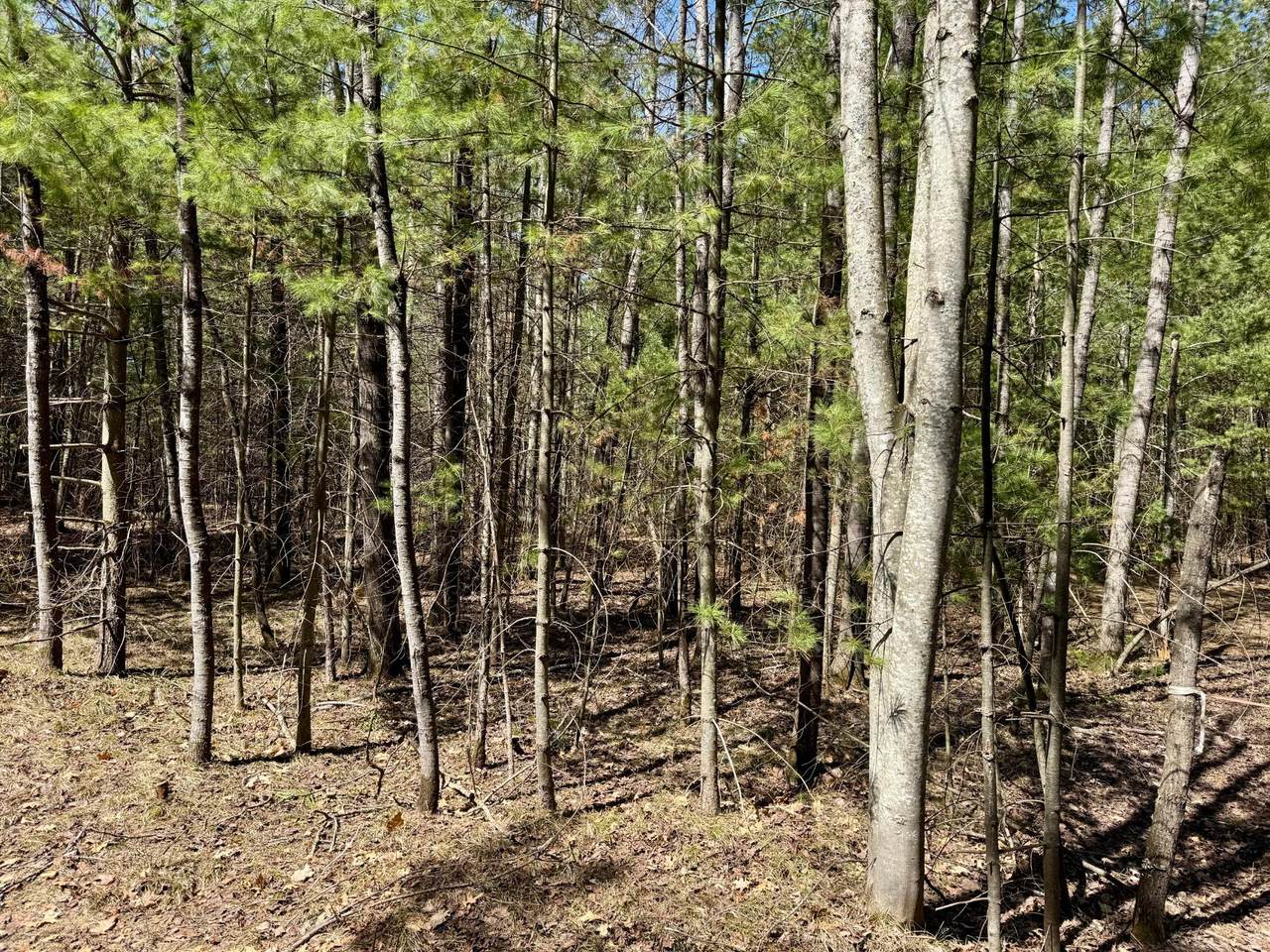 https://bt-photos.global.ssl.fastly.net/northwoods/1280_boomver_2_216484-2.jpg