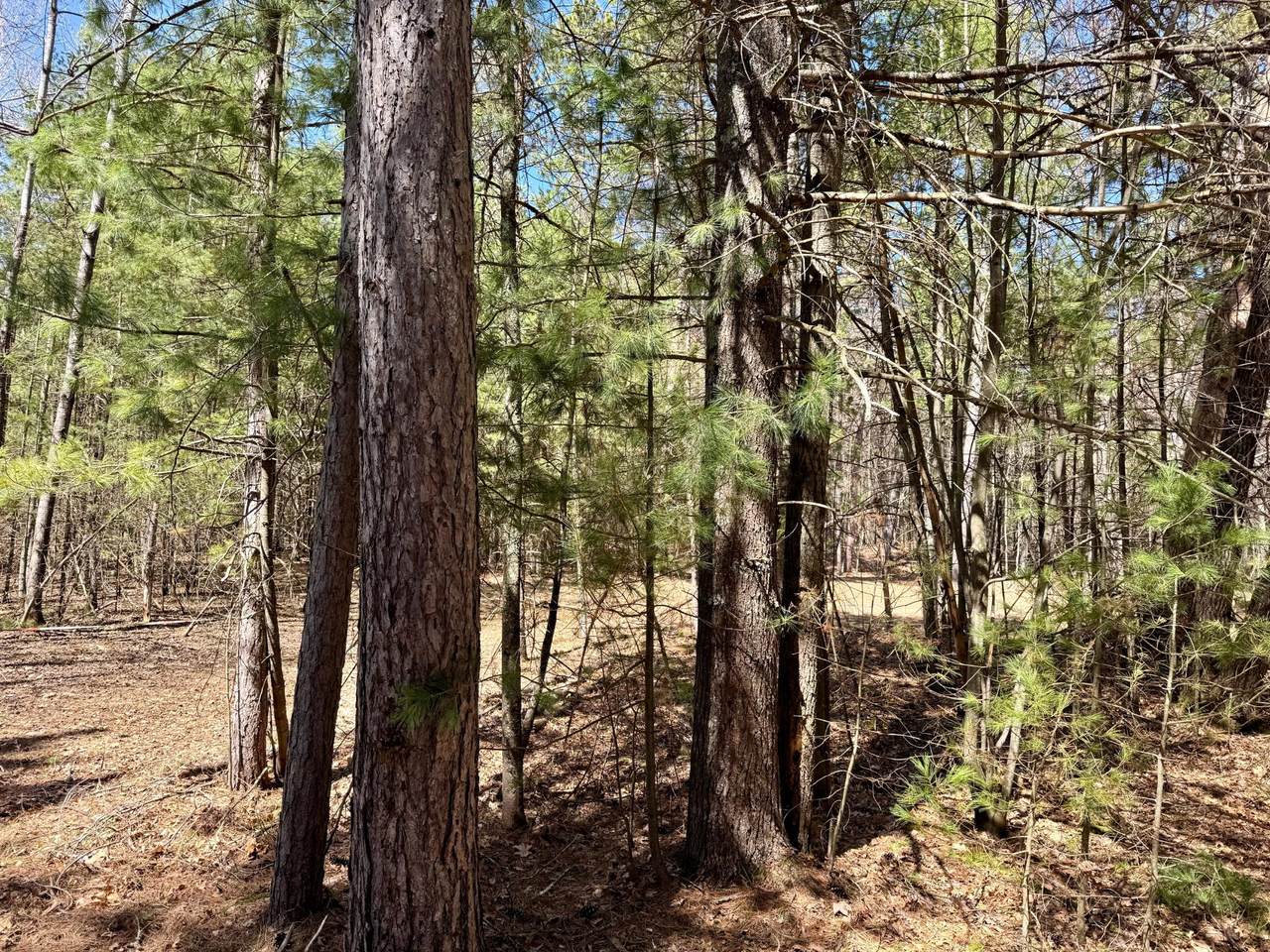 https://bt-photos.global.ssl.fastly.net/northwoods/1280_boomver_2_216484-2.jpg