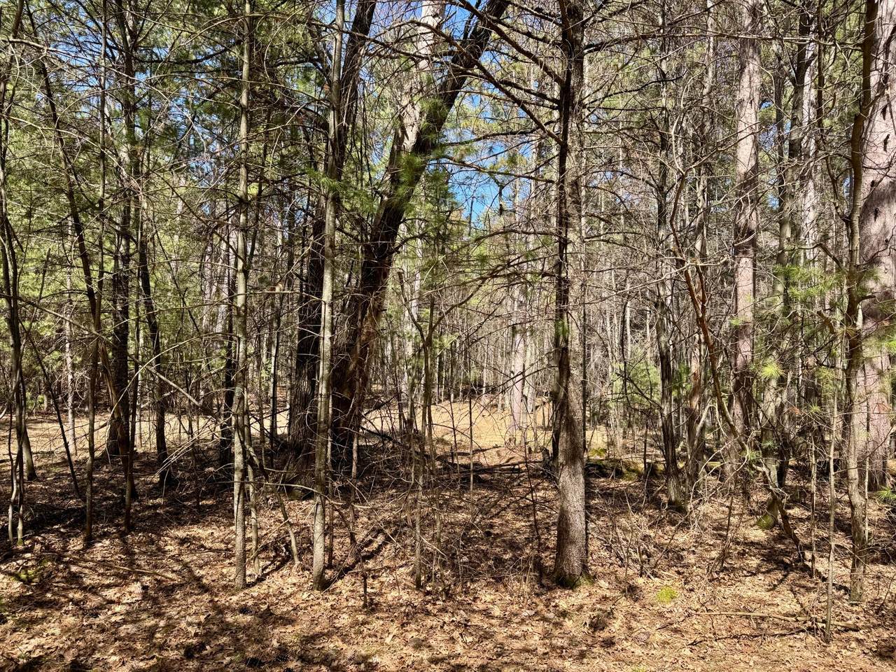 https://bt-photos.global.ssl.fastly.net/northwoods/1280_boomver_2_216484-2.jpg