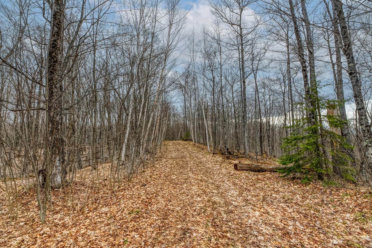 https://bt-photos.global.ssl.fastly.net/northwoods/1280_boomver_2_216784-2.jpg