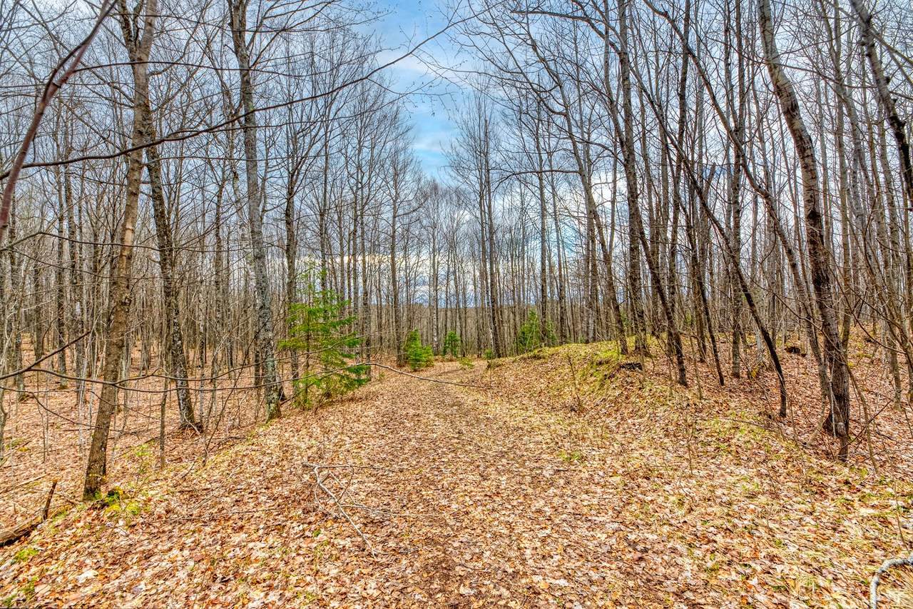 https://bt-photos.global.ssl.fastly.net/northwoods/1280_boomver_2_216786-2.jpg