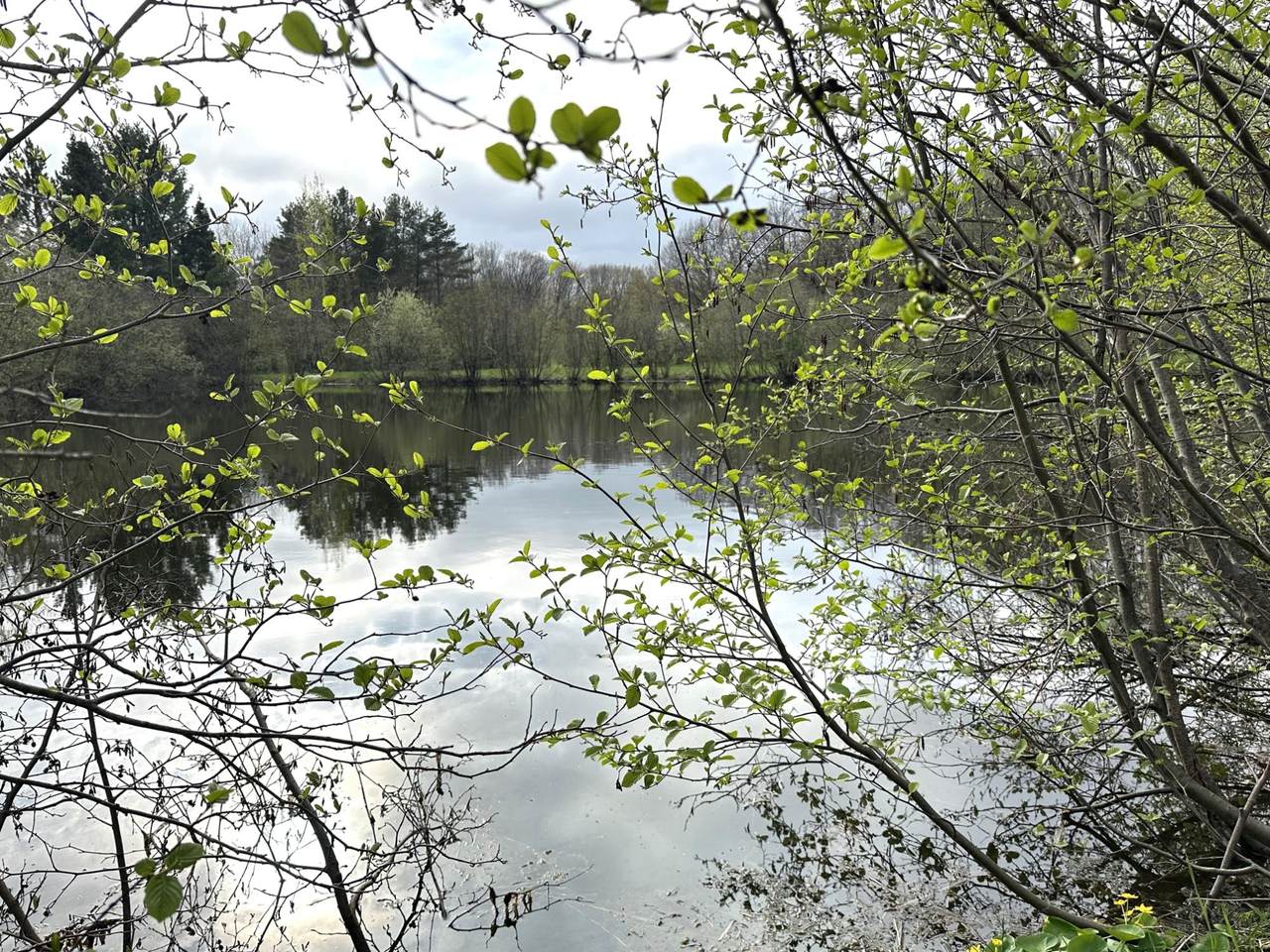 https://bt-photos.global.ssl.fastly.net/northwoods/1280_boomver_2_217203-2.jpg