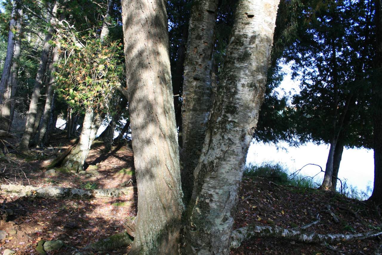 https://bt-photos.global.ssl.fastly.net/northwoods/1280_boomver_2_217739-2.jpg