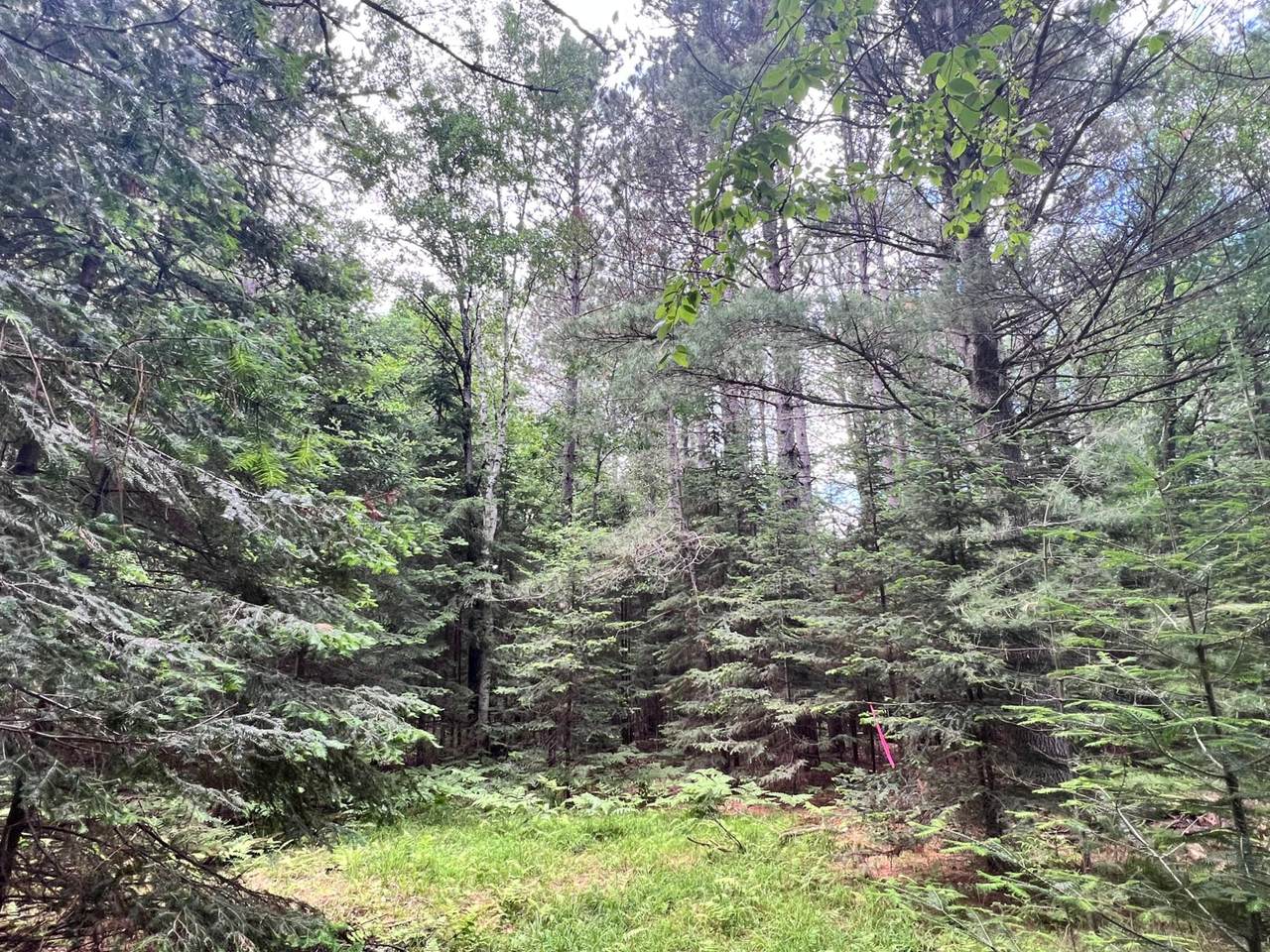 https://bt-photos.global.ssl.fastly.net/northwoods/1280_boomver_1_217877-2.jpg