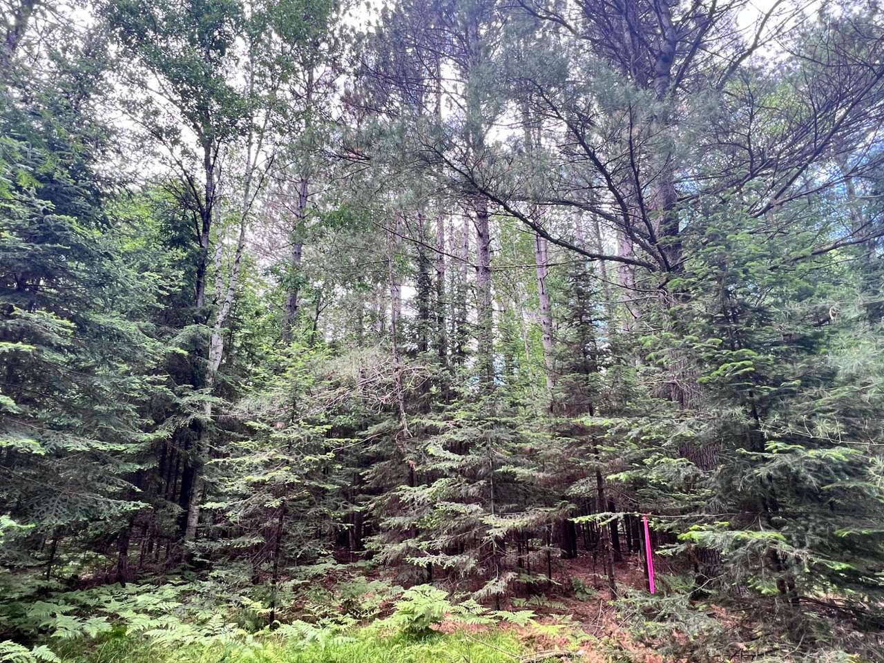https://bt-photos.global.ssl.fastly.net/northwoods/1280_boomver_1_217877-2.jpg