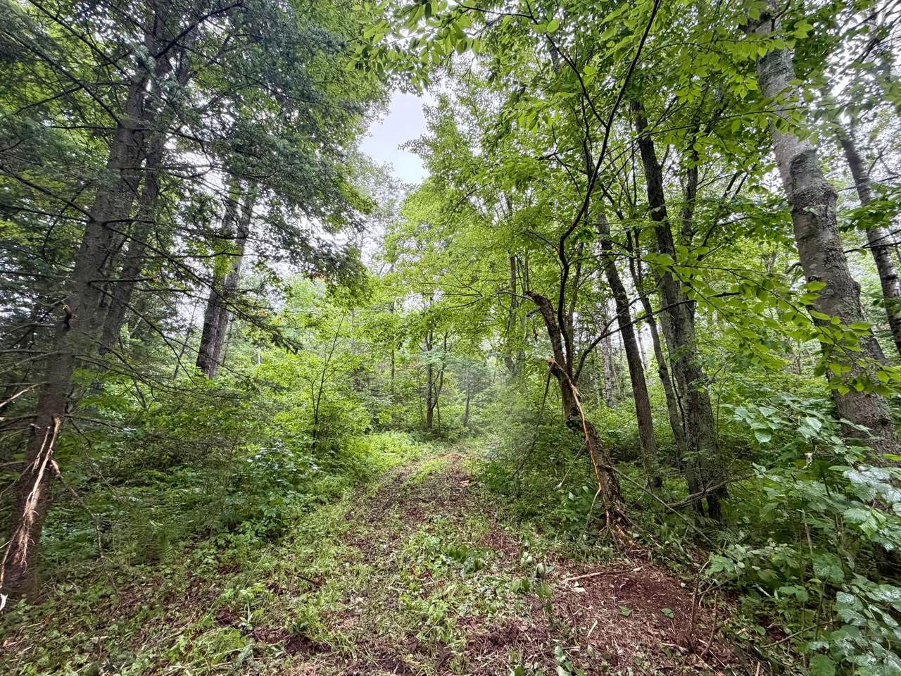 2185 Ahola Rd - Photo 1
