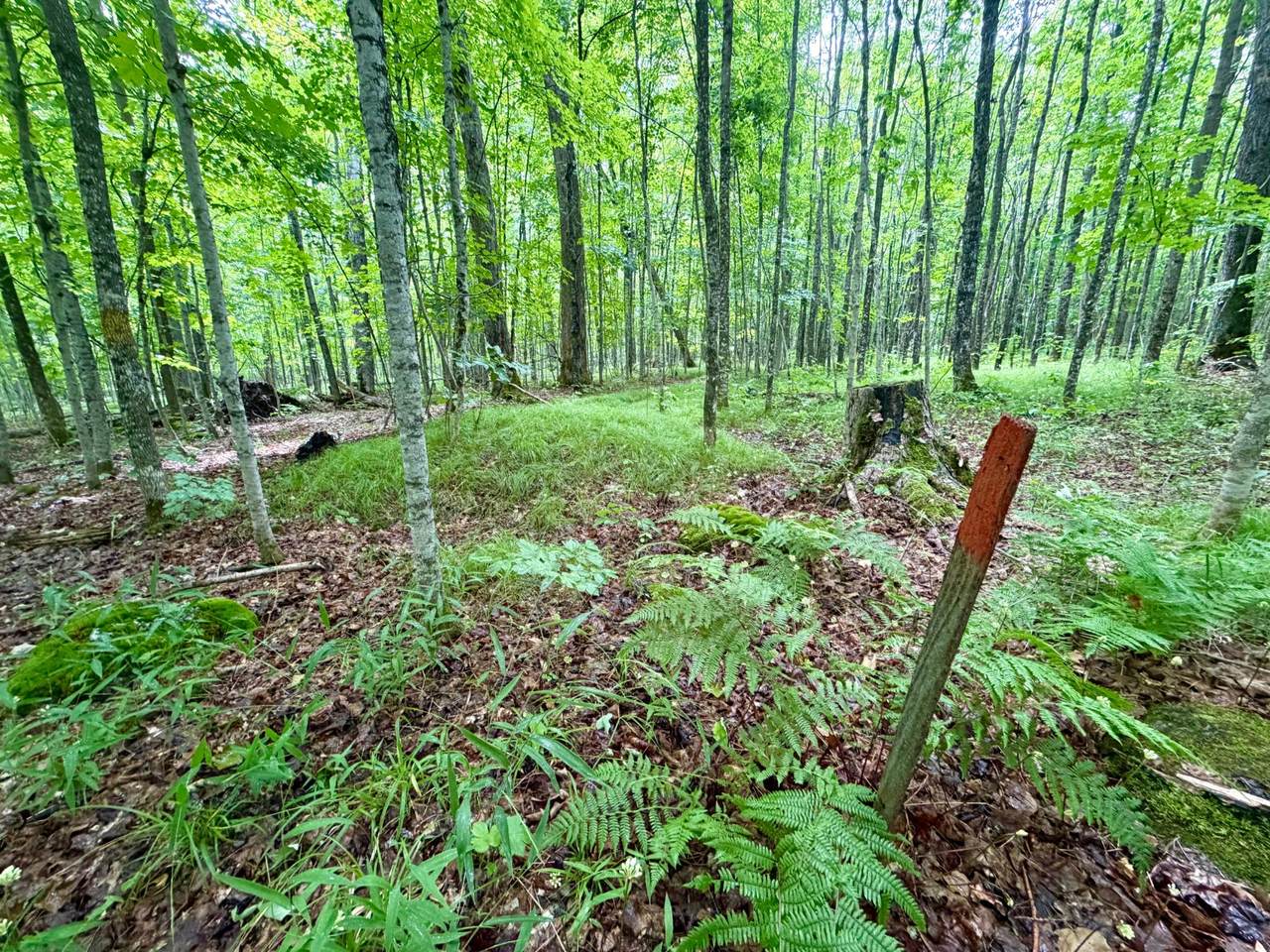 https://bt-photos.global.ssl.fastly.net/northwoods/1280_boomver_2_218208-2.jpg