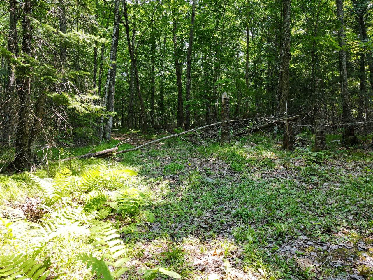 https://bt-photos.global.ssl.fastly.net/northwoods/1280_boomver_1_218736-2.jpg