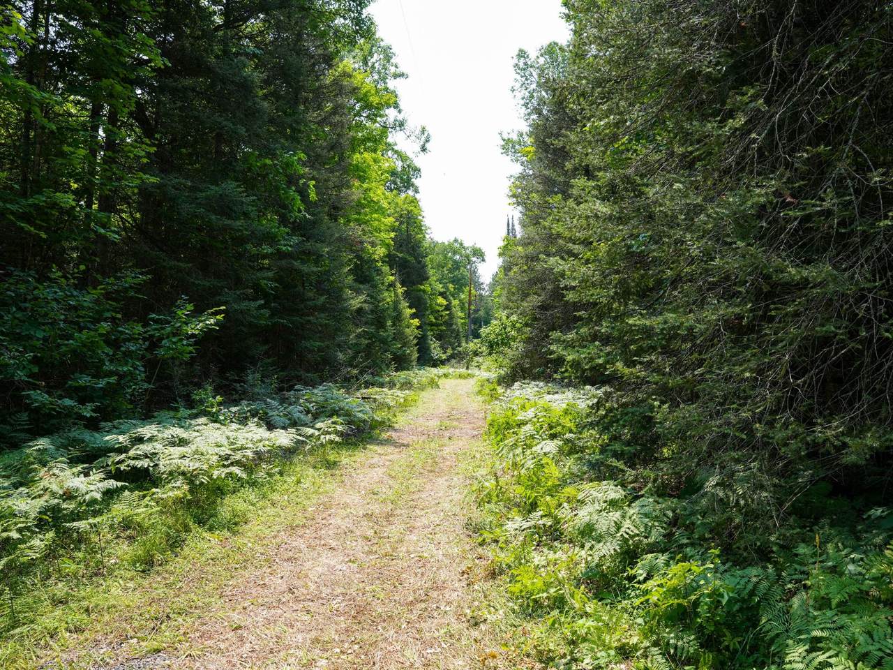 https://bt-photos.global.ssl.fastly.net/northwoods/1280_boomver_1_218738-2.jpg