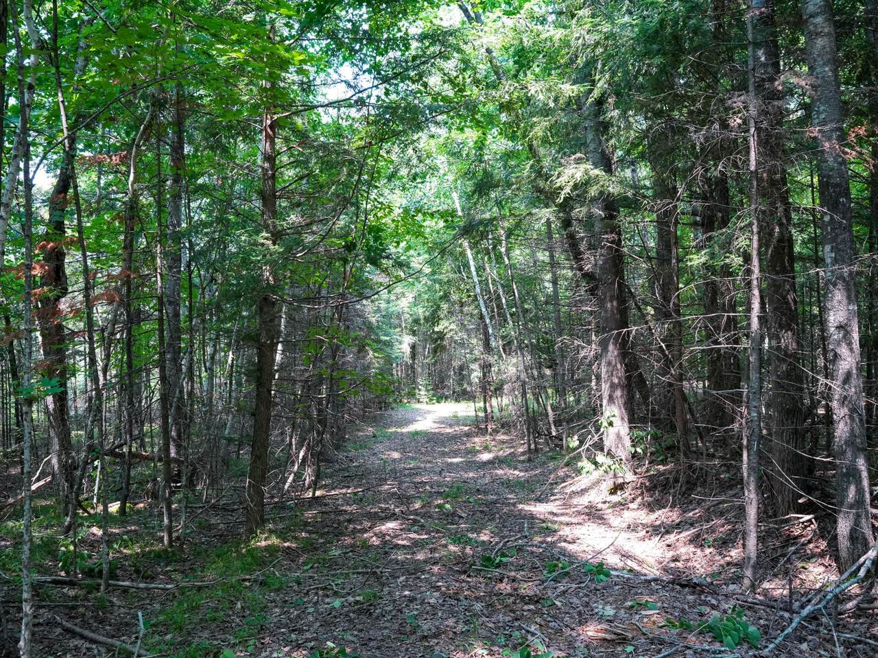 https://bt-photos.global.ssl.fastly.net/northwoods/1280_boomver_1_218740-2.jpg