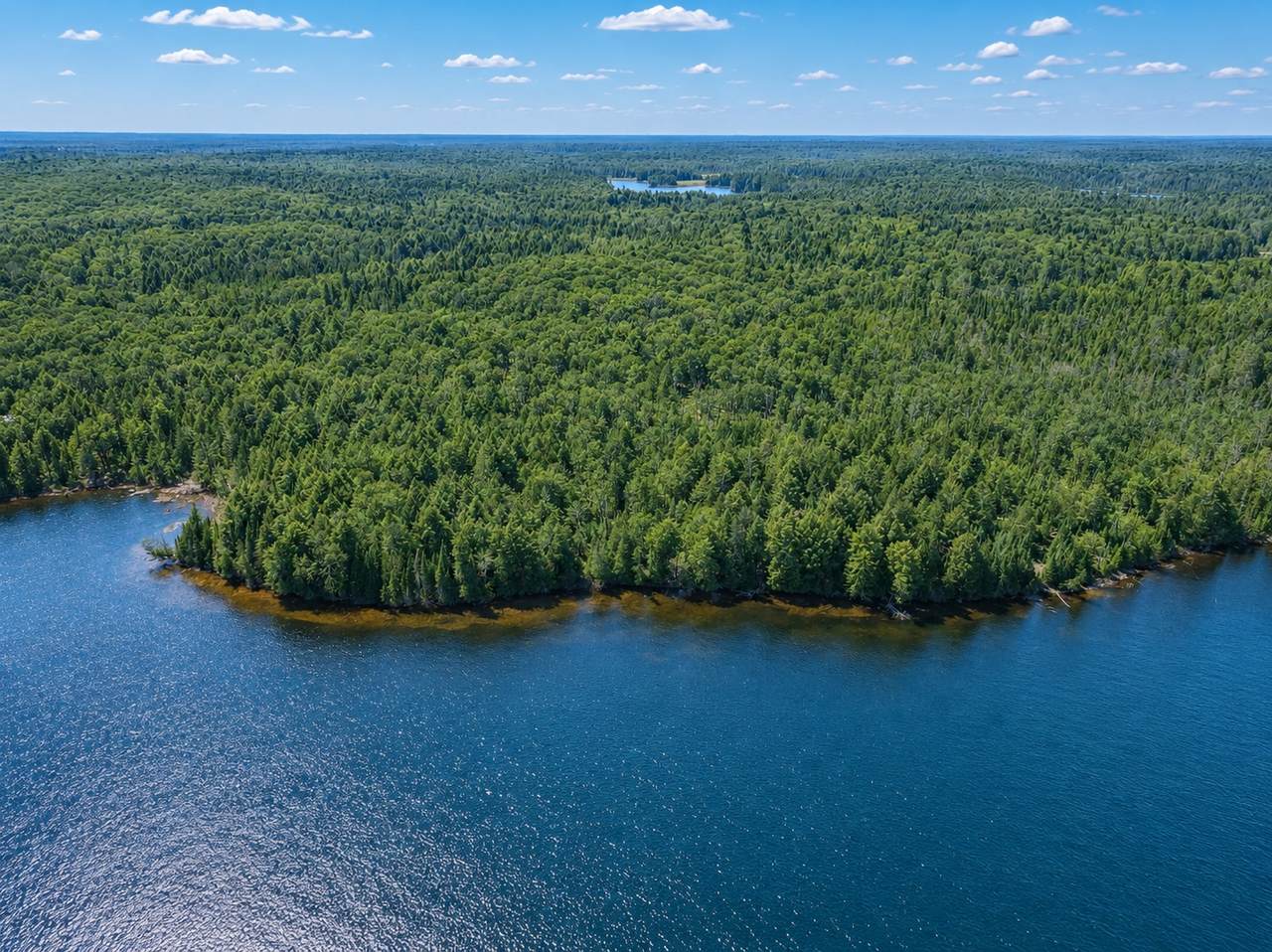 Off Duck Lake Rd - Photo 1