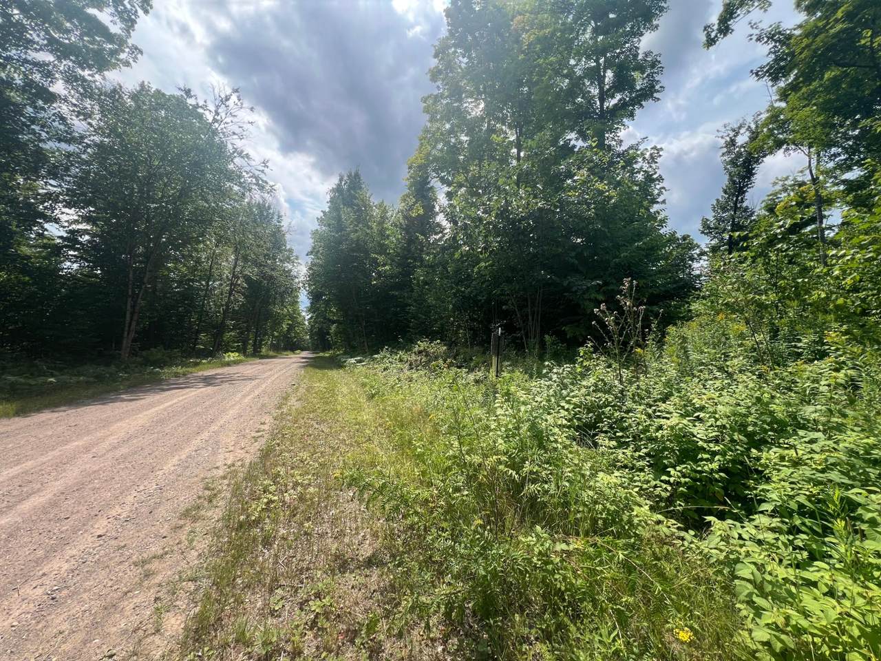 TBD Little Bear Rd - Photo 1