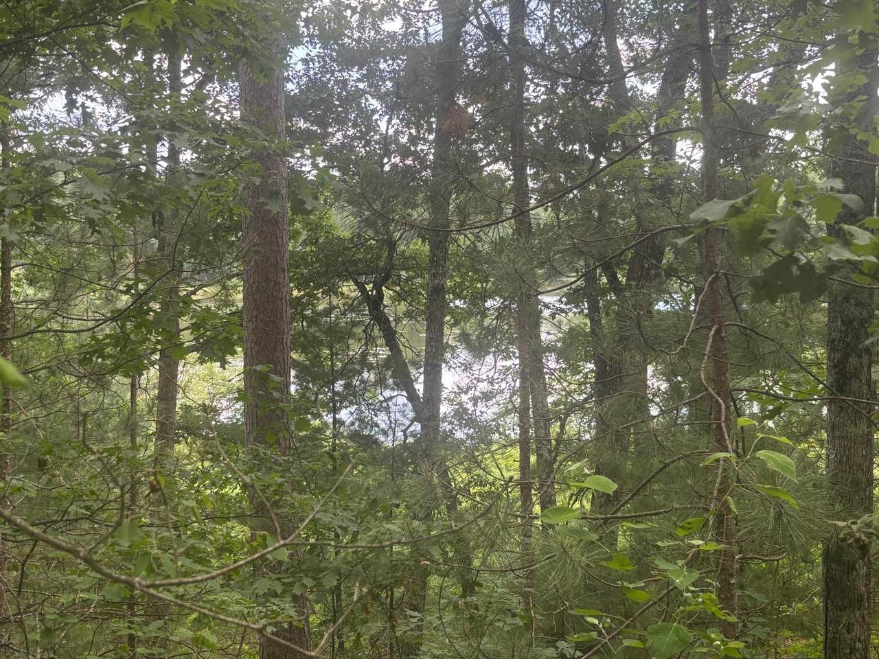 OFF Bennett Rd - Photo 1