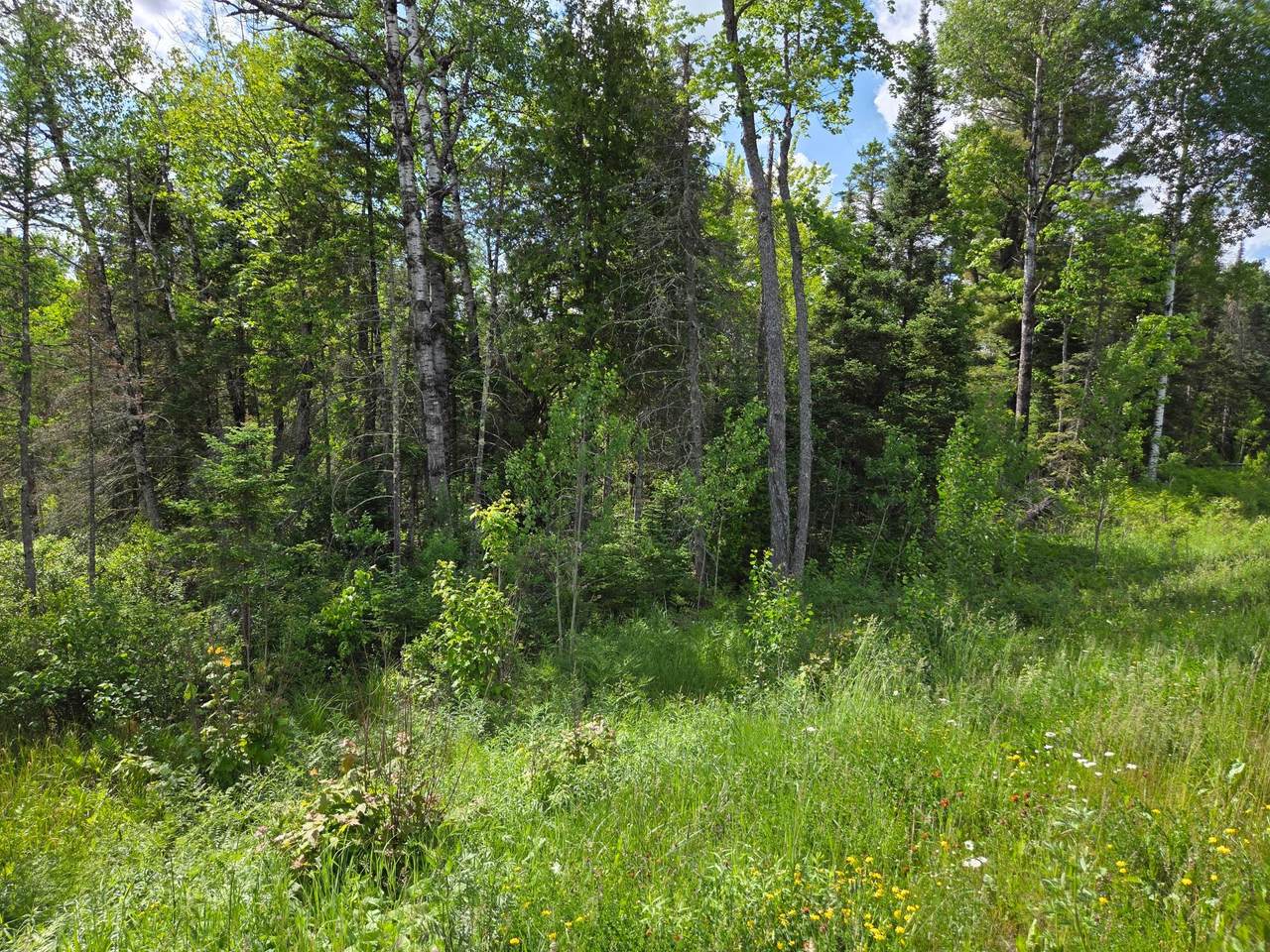 40 AC Hwy 45 - Photo 1
