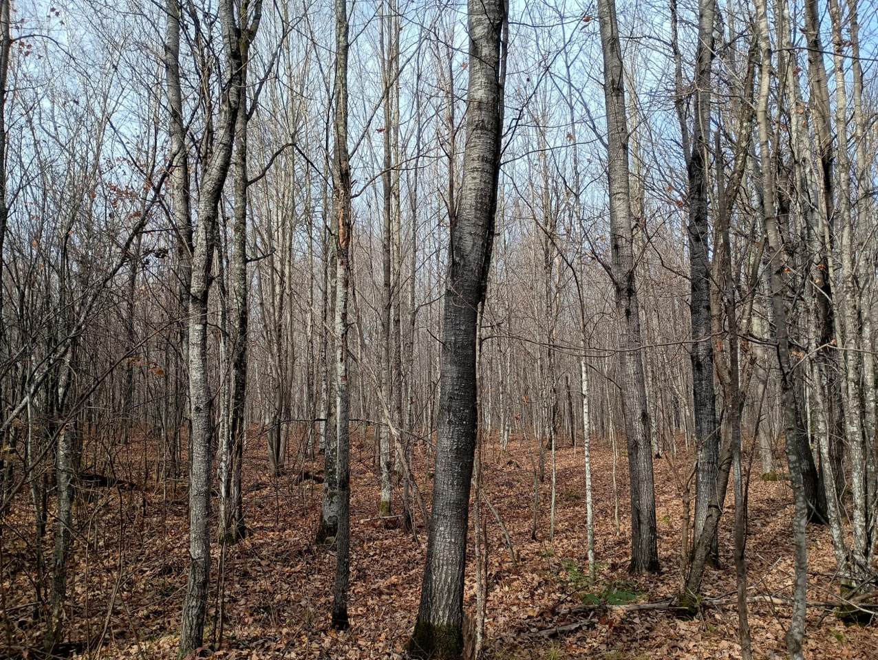 ON Right Of Way Rd - Photo 1