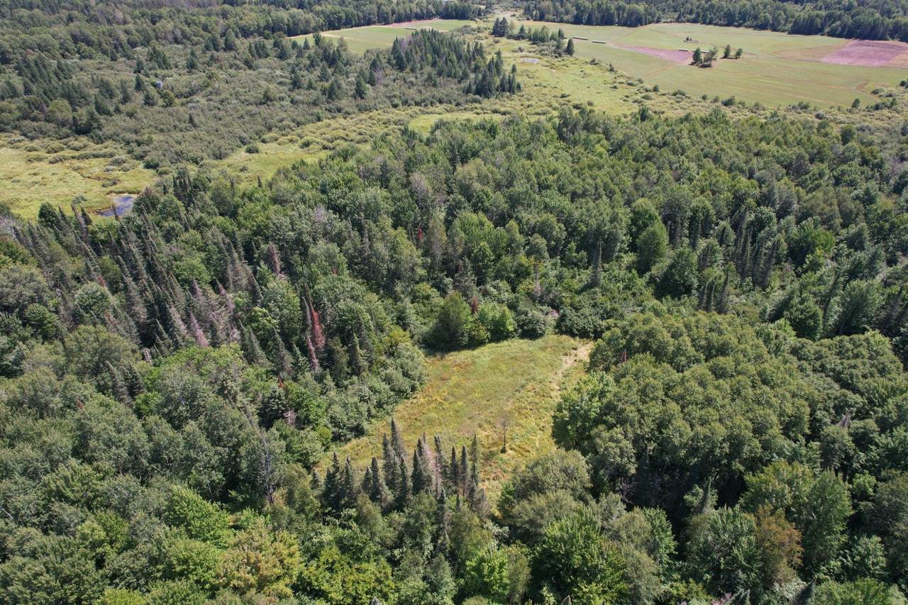 https://bt-photos.global.ssl.fastly.net/northwoods/1280_boomver_2_216028-2.jpg