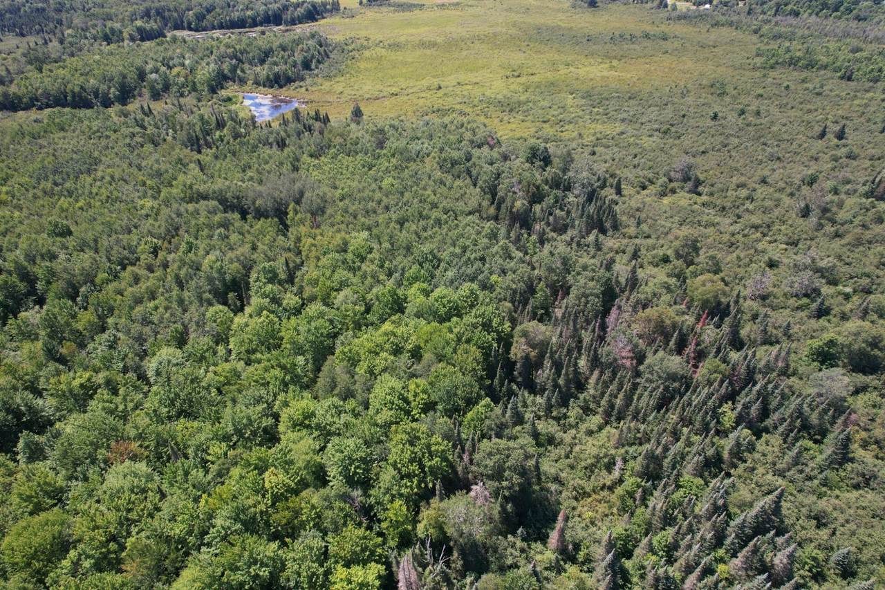 https://bt-photos.global.ssl.fastly.net/northwoods/1280_boomver_2_216028-2.jpg