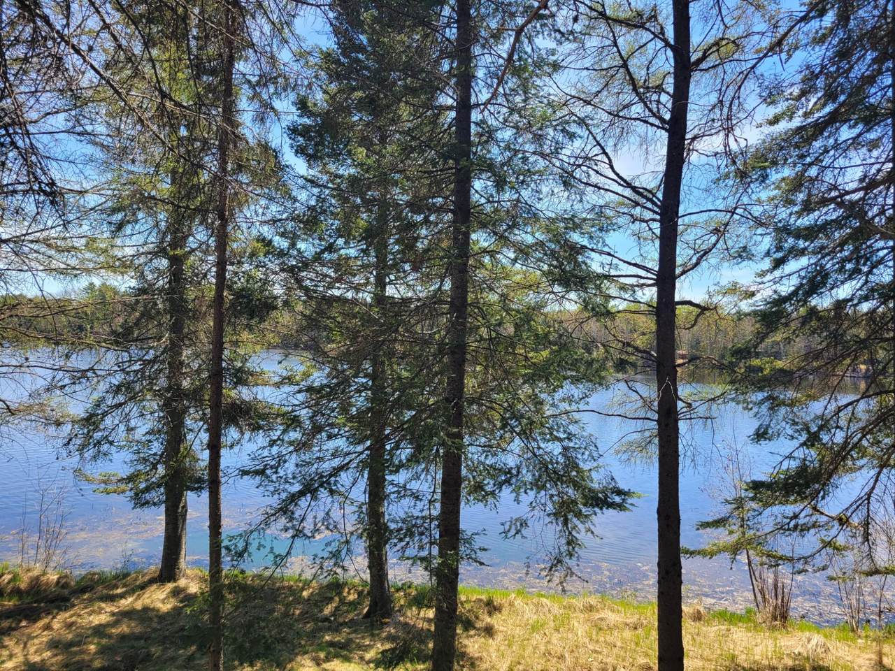 2100 Wilderness Tr - Photo 1