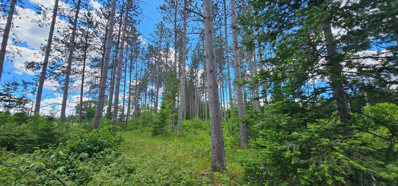 https://bt-photos.global.ssl.fastly.net/northwoods/1280_boomver_3_218073-2.jpg