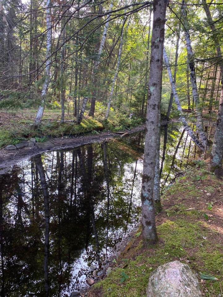 https://bt-photos.global.ssl.fastly.net/northwoods/1280_boomver_3_218733-2.jpg