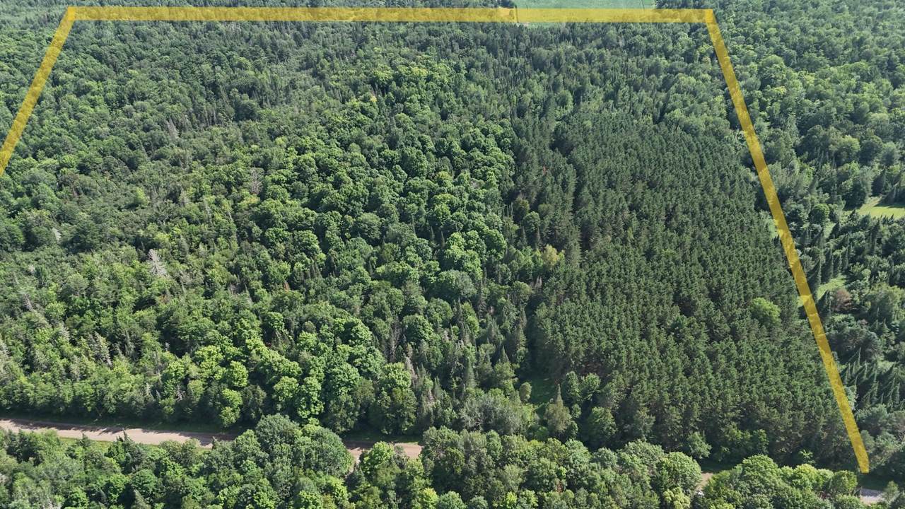 40 Ac Sunrise Rd - Photo 1